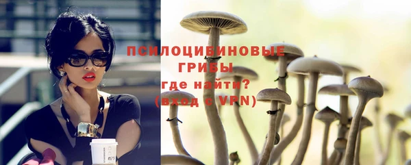 молекула духа Заводоуковск