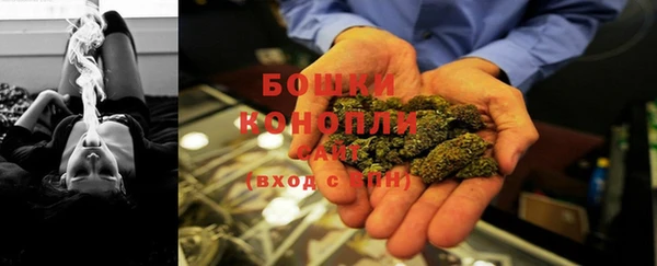 молекула духа Заводоуковск