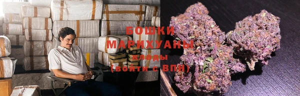 PSILOCYBIN Заволжье