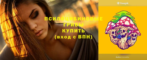 дживик Заволжск